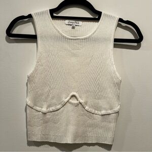 Vici ribbed crop top tank